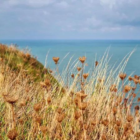 La Dolce D'etretat * Vattetot-sur-Mer